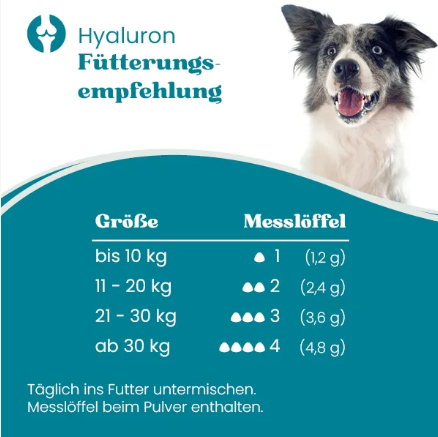 Hyaloronsäure+ für die Gelenke