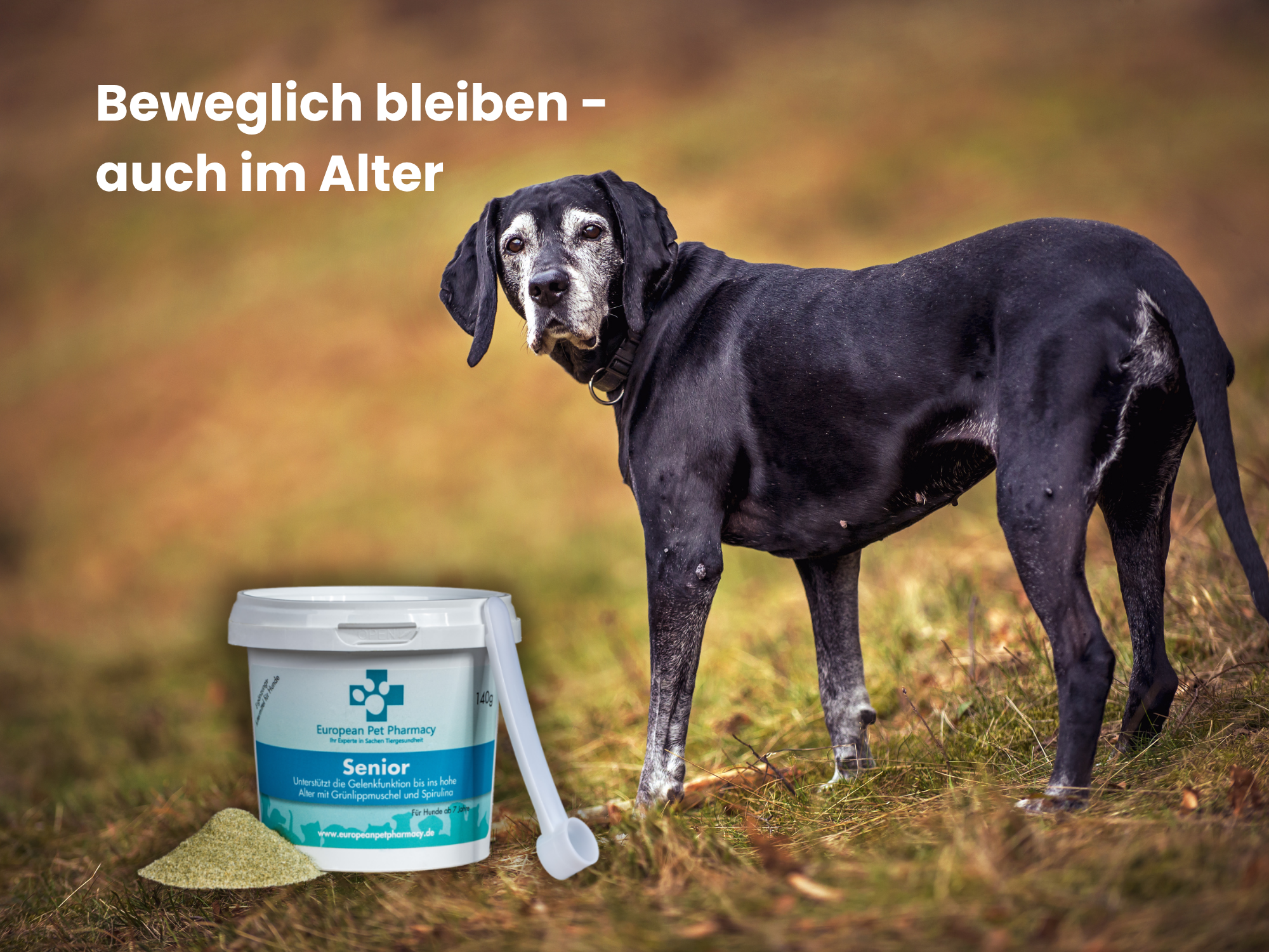 Senior - Gelenkpräparat für Hunde ab 7 Jahren