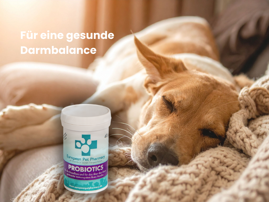 Probiotics - Unterstützung der Verdauuung & Darmflora