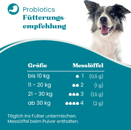 Probiotics - Unterstützung der Verdauuung & Darmflora